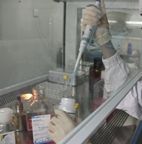 基因測(cè)序技術(shù)服務(wù) 價(jià)格解析與優(yōu)質(zhì)廠家選擇指南